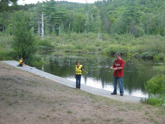 1010113223137 51 echo 2004-0181