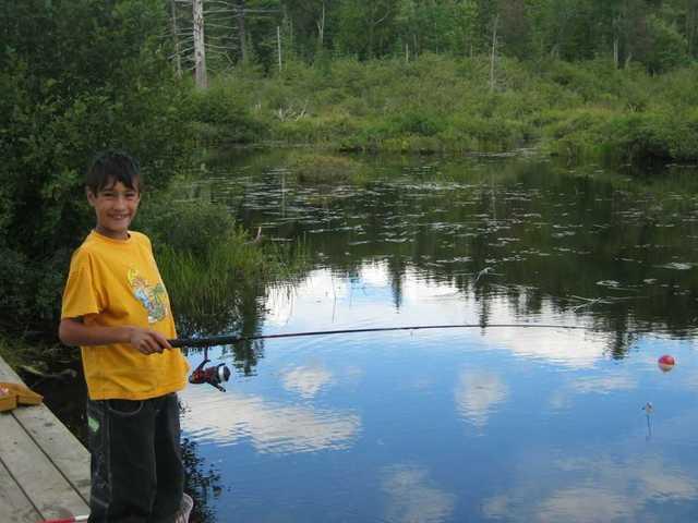 1010113223137 52 echo 2004-0182