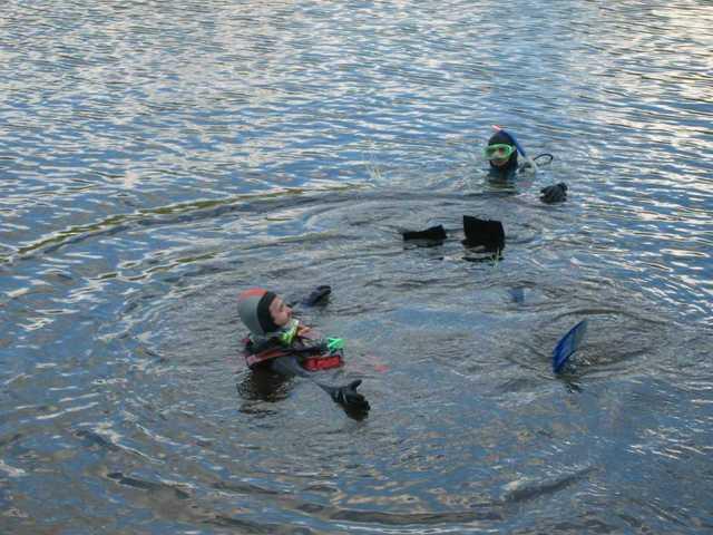 1010113223137 72 echo 2004-0090