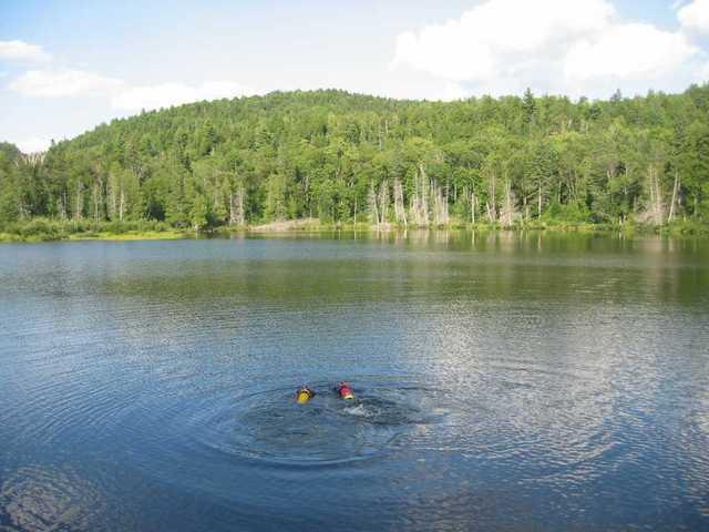 1010113223137 73 echo 2004-0092