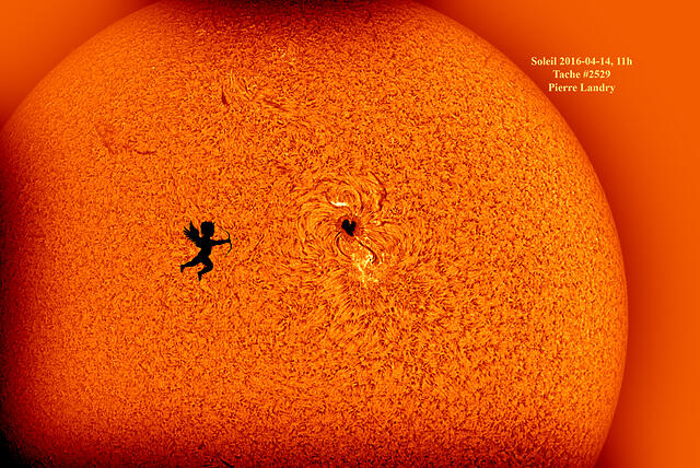 Sun 110205 0000 C cupid