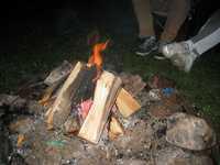 1010113223137 03 echo 2004-0004