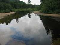 1010113223137 69 echo 2004-0020