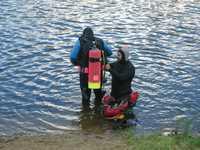 1010113223137 71 echo 2004-0085