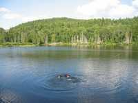 1010113223137 73 echo 2004-0092