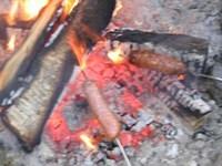 1010113301214 02 echo 2005-023