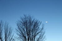 Trio Venus, Mars et Lune T5i 0246